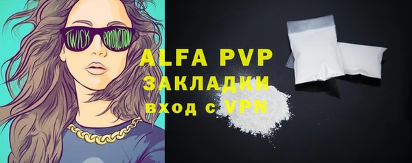 PSILOCYBIN Богданович