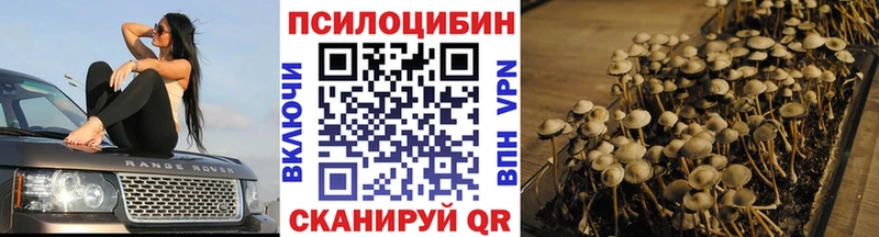 Псилоцибиновые грибы MAGIC MUSHROOMS  Купить  Арамиль 